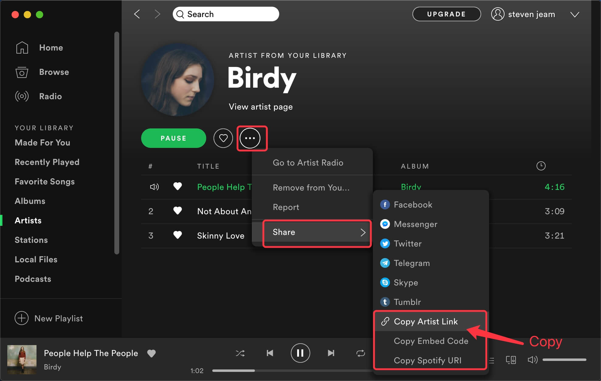 spotify download format